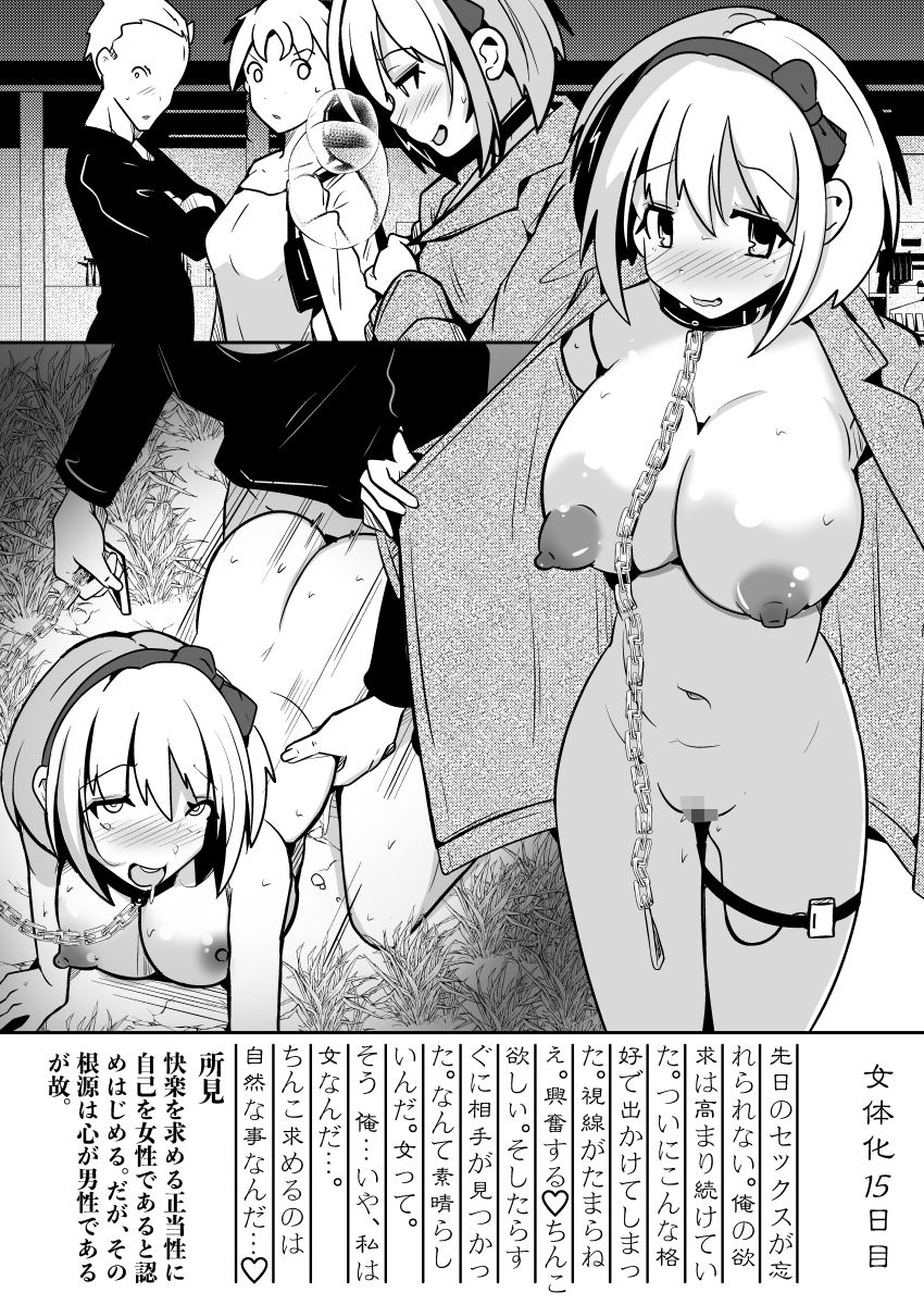 俺が私に堕ちるまでのDIARY