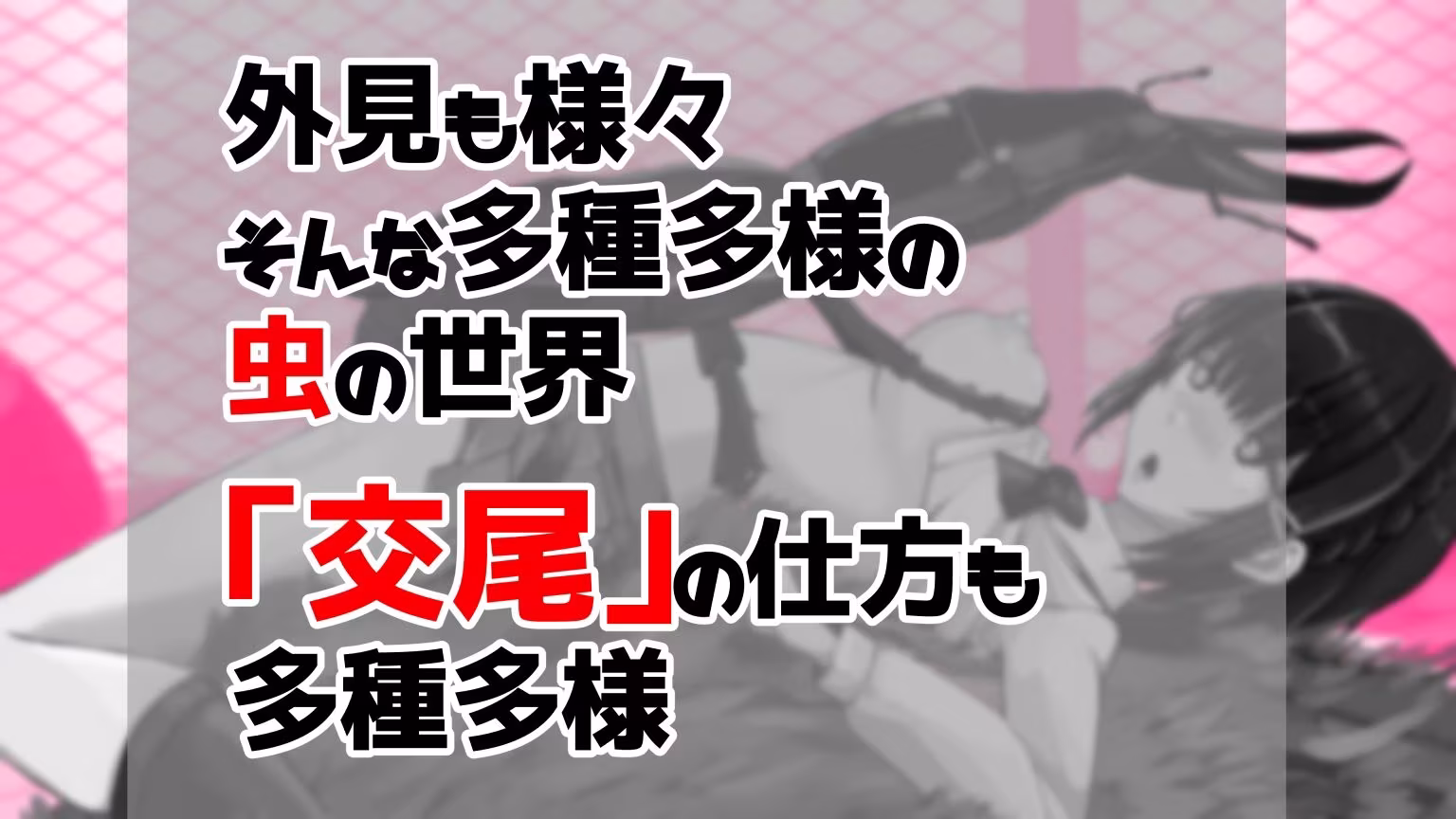 虫交尾図鑑