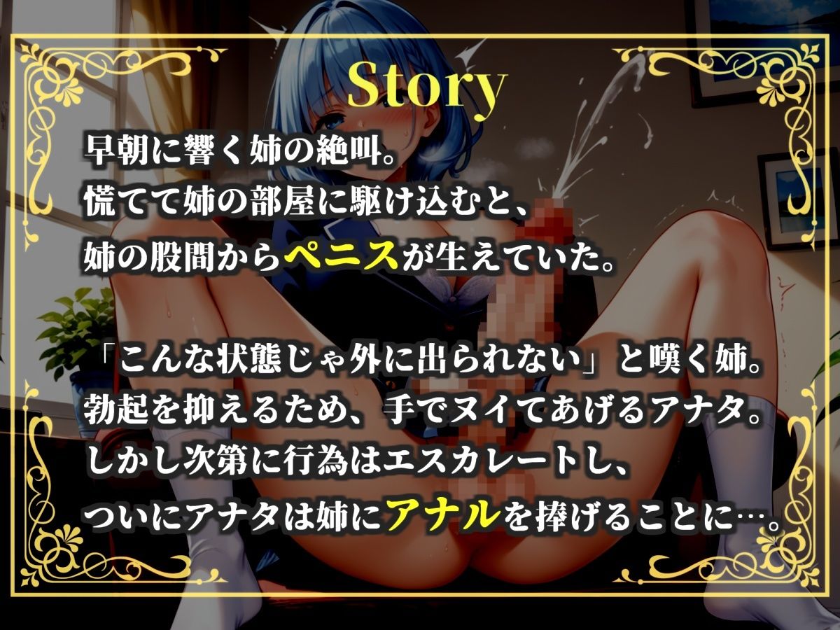 【新作価格】【豪華おまけあり】【プレミアムサウンド】突然ふたなりち●ぽが生えたショタ好きな姉の勃起を抑えるためにヌイてあげたら、毎晩アナルを求められて性処理オナホとして扱われてしまう