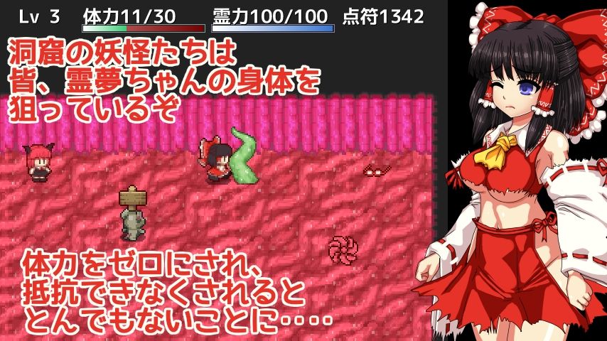 博麗霊夢の妖怪退治大作戦！