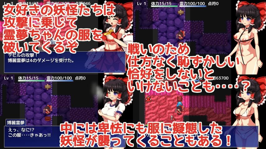 博麗霊夢の妖怪退治大作戦！