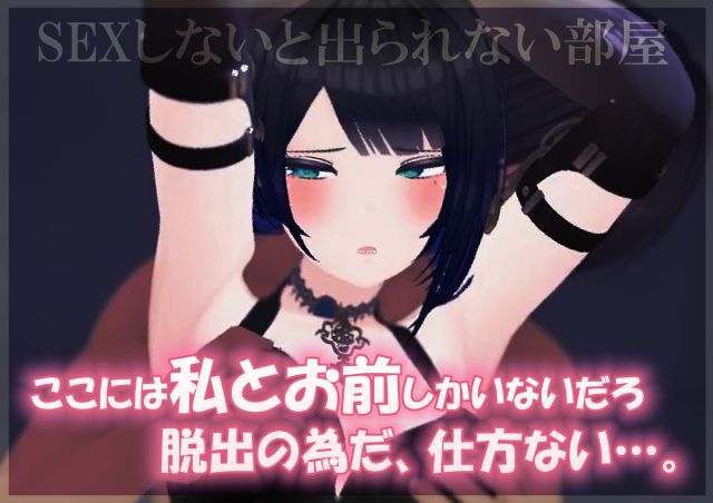 【謎解きH】SEXしないと出られない部屋〜あこがれの師匠と脱出の為にしかたなくエッチすることに〜