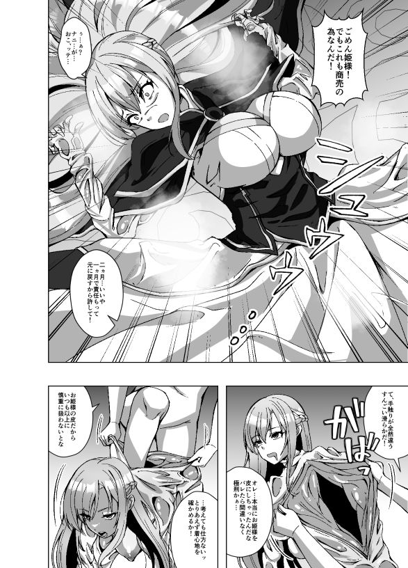 転生スキンライフ2〜変身スキン屋大繁盛！看板商品はお姫様の皮！？〜