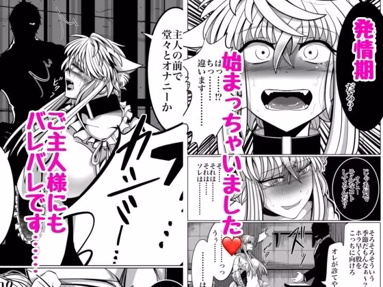 発情期↓本能堕ち↓生交尾