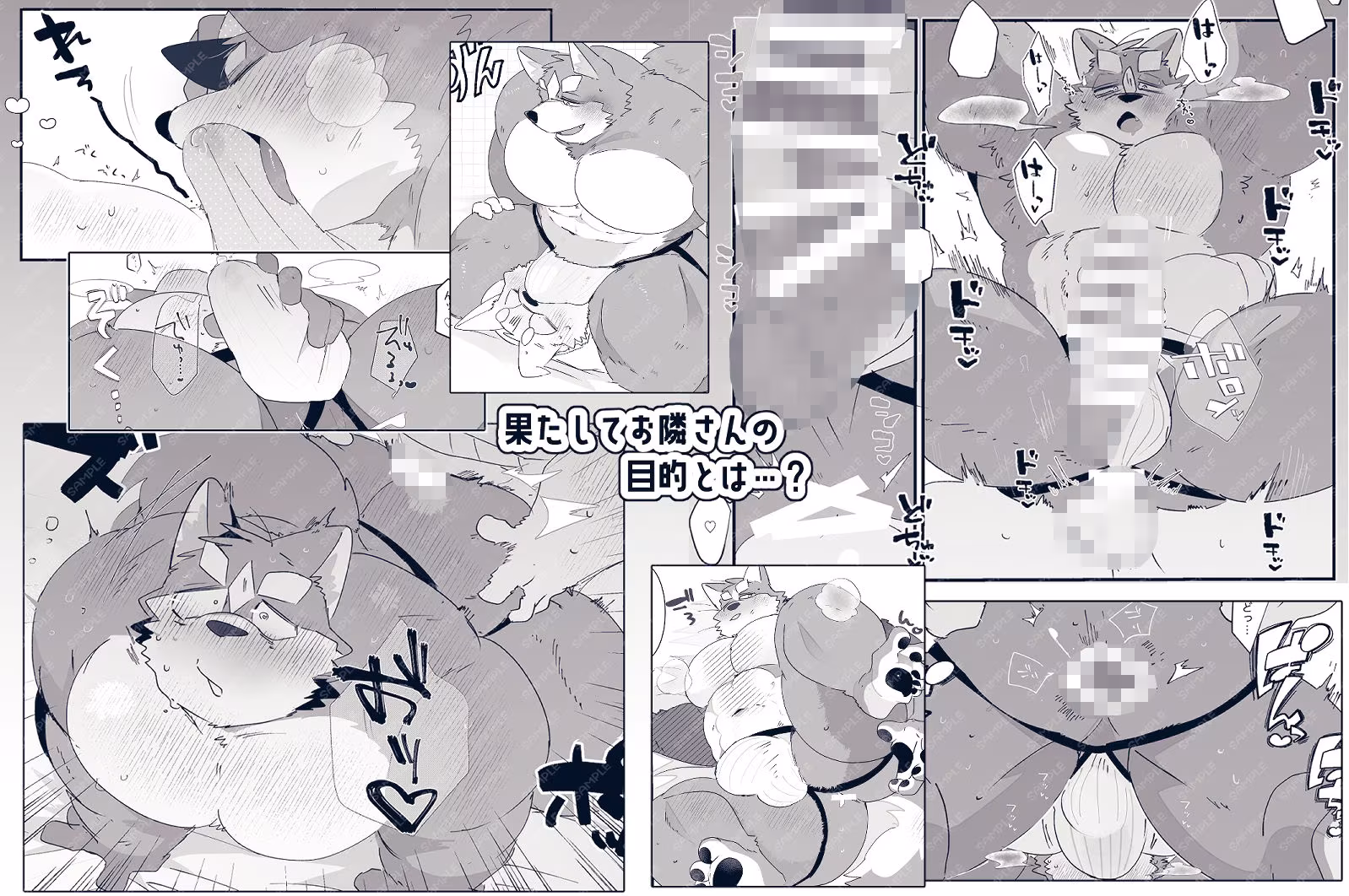 ヒミツのお隣さん