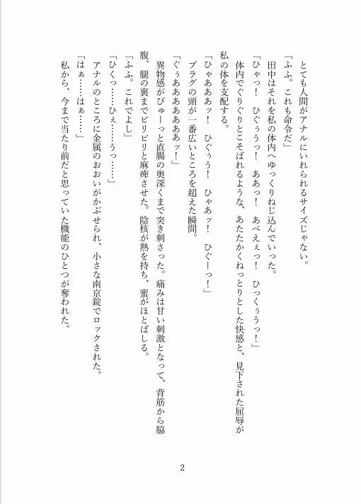 外せない貞操帯生活  〜一週間の排泄絶対禁止命令〜  【中村ひまり編】