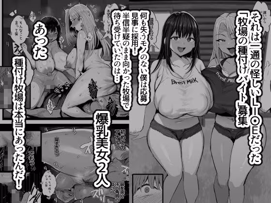 牧場の種付けバイトに受かった僕