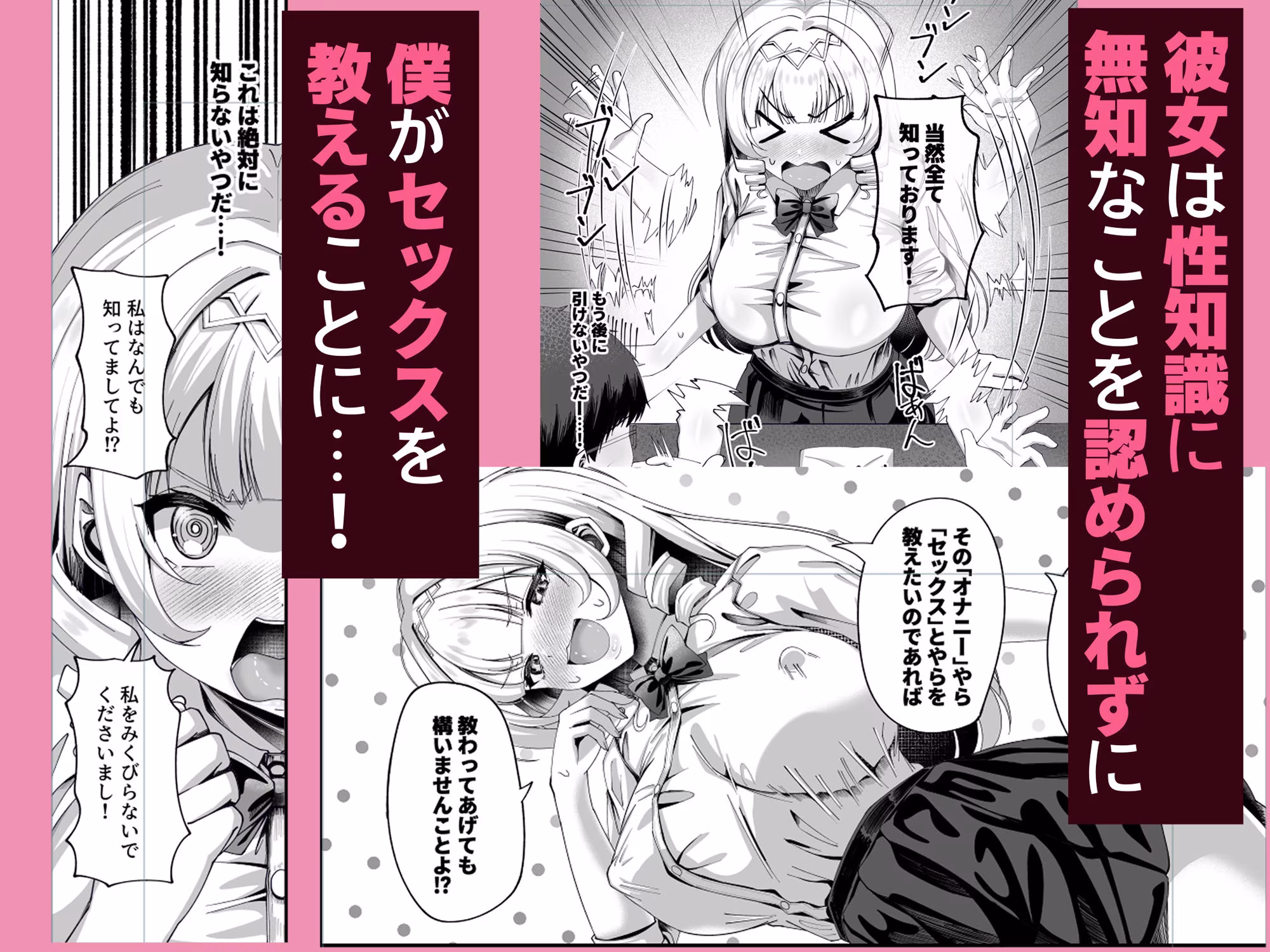 性知識にだけ無知すぎるお嬢様