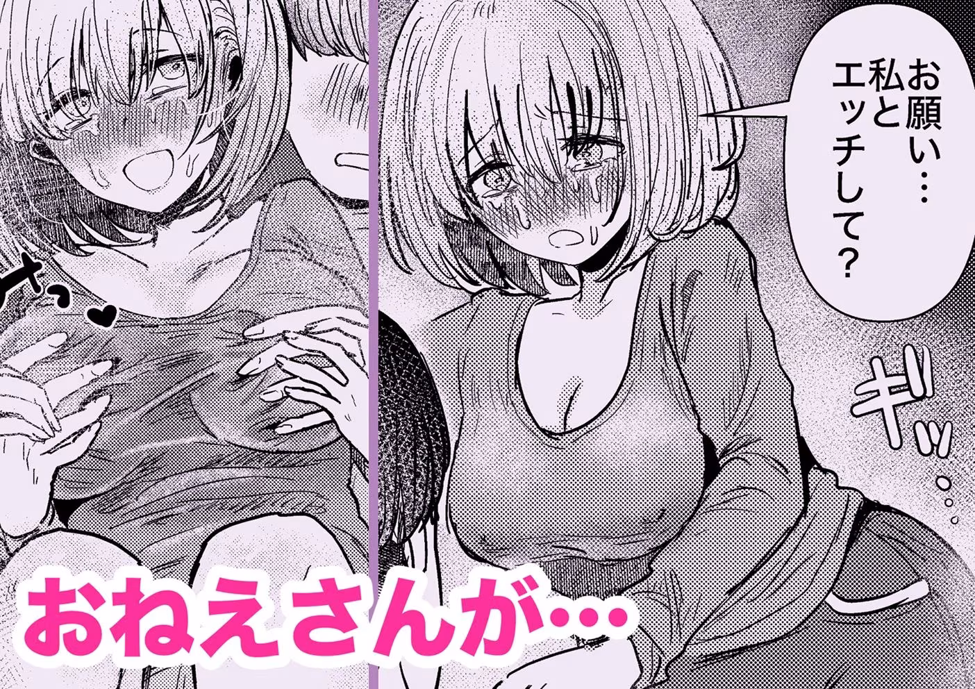 社畜の限界おねえさんを拾いまして