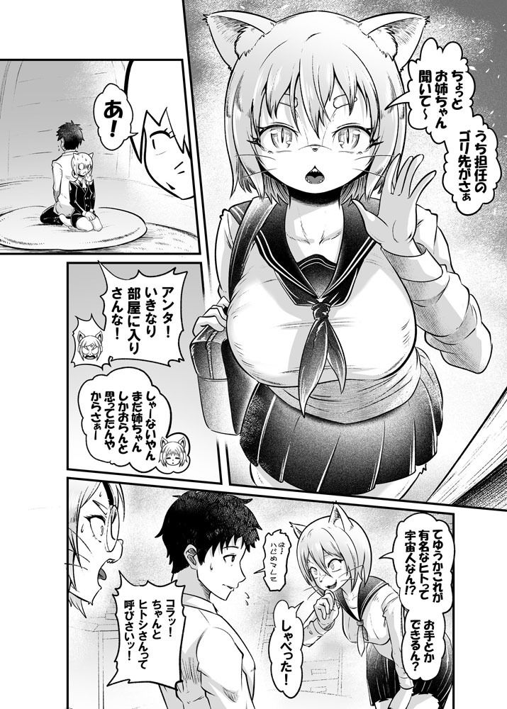 トネリコ報道官の裏報告書2