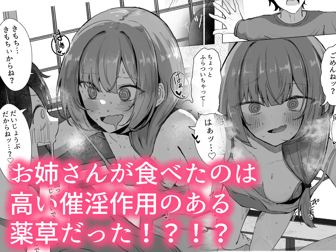 山菜テンプテーション  〜薬草で発情したちょっぴりMのお姉さんが止まってくれない。〜