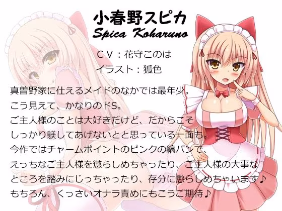 ご主人様、きっつい躾が必要ですね♪  全作まとめ買いセット