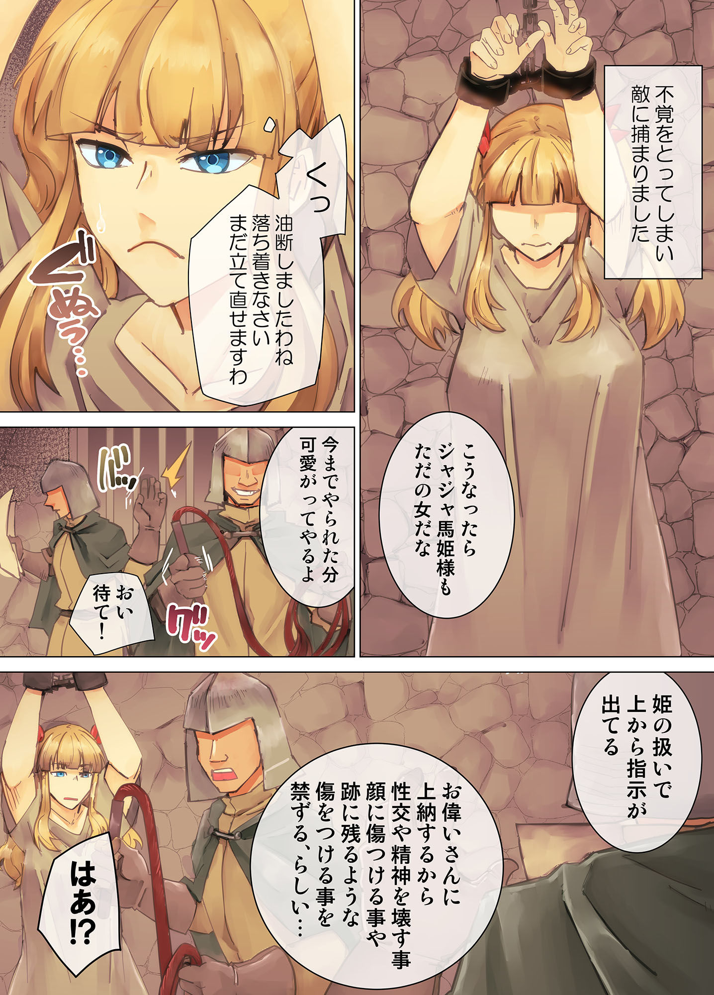 囚われ姫騎士  強●胸辱