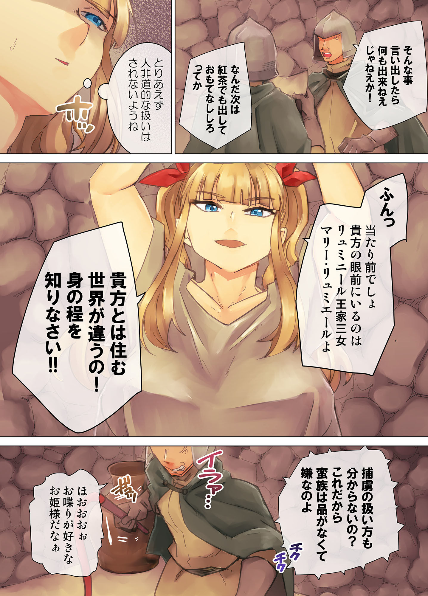 囚われ姫騎士  強●胸辱