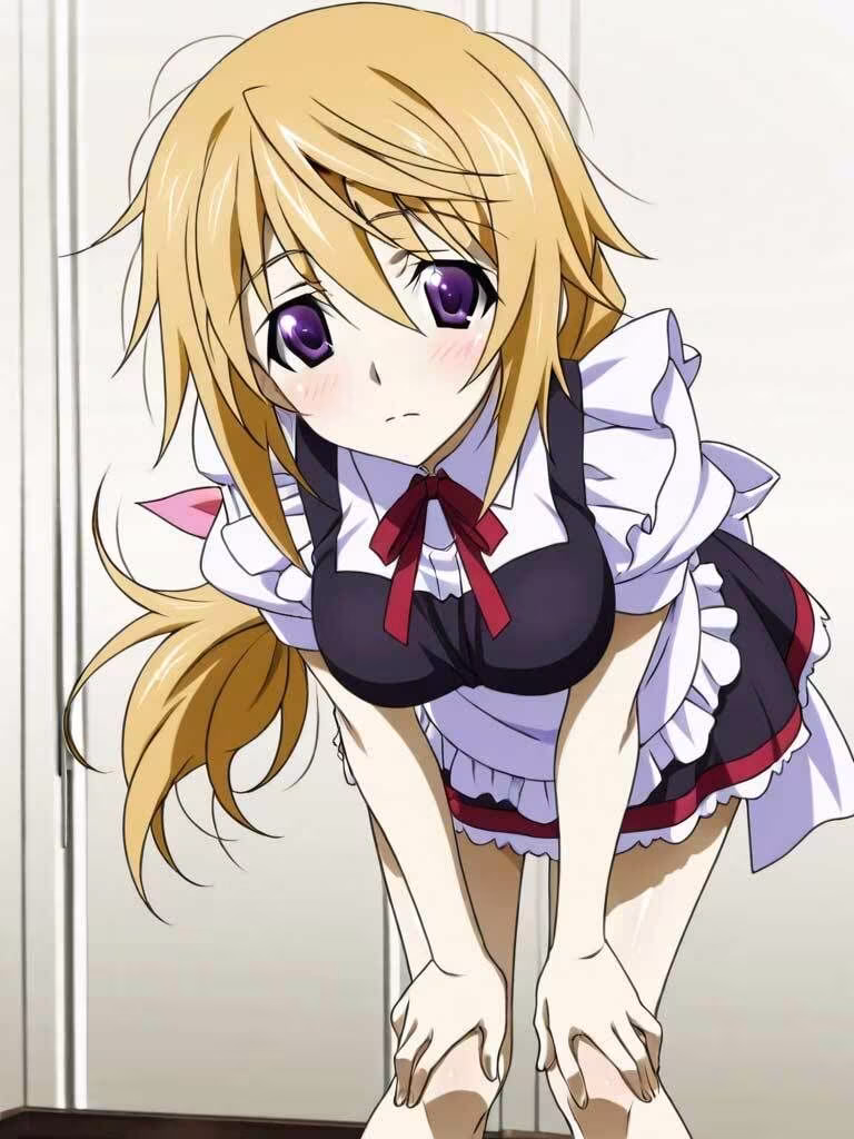 シャル〇ット・デュ〇ア メイドコスエッチCG集 200枚