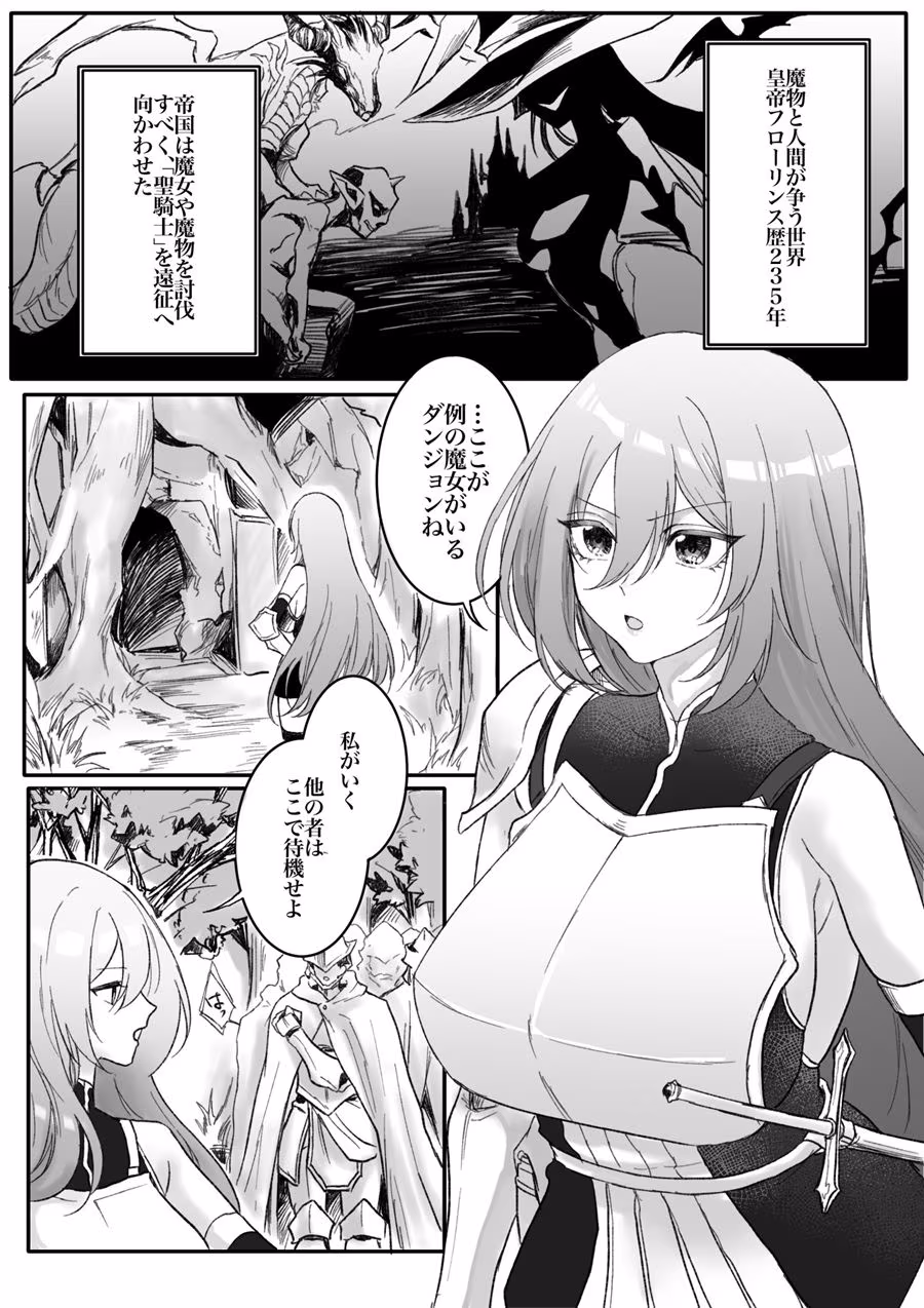 分裂少女  アイビス・フリーゲル