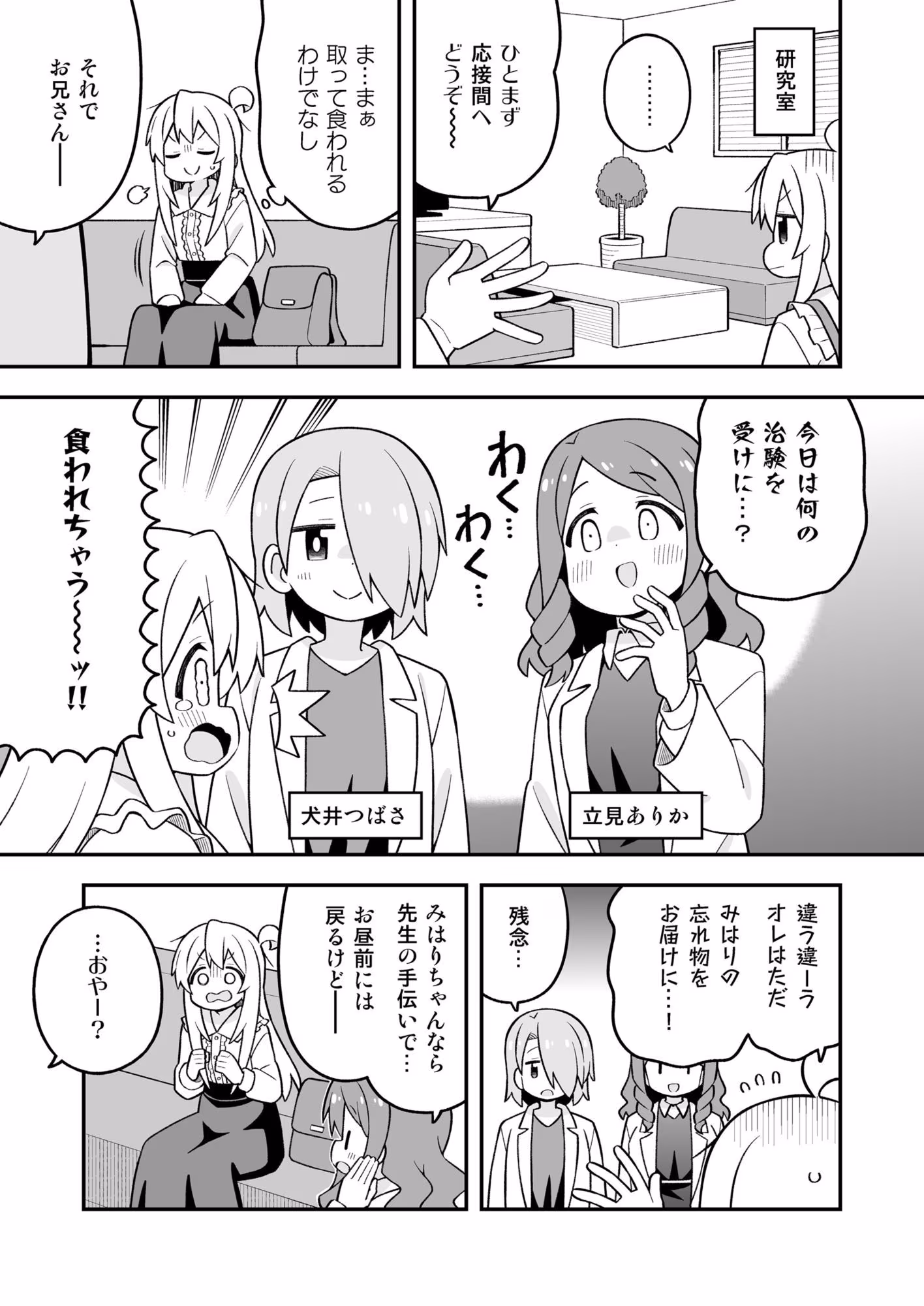 お兄ちゃんはおしまい！37