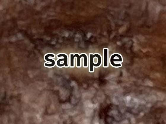 化石のテクスチャ/シームレス画像素材〜商用成人利用OKの著作権フリー