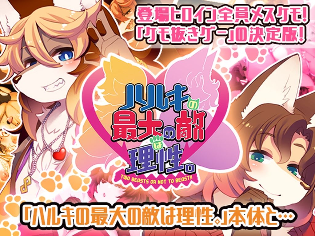 ハルキの最大の敵は理性。ドスケベメスケモコンプリートパック！