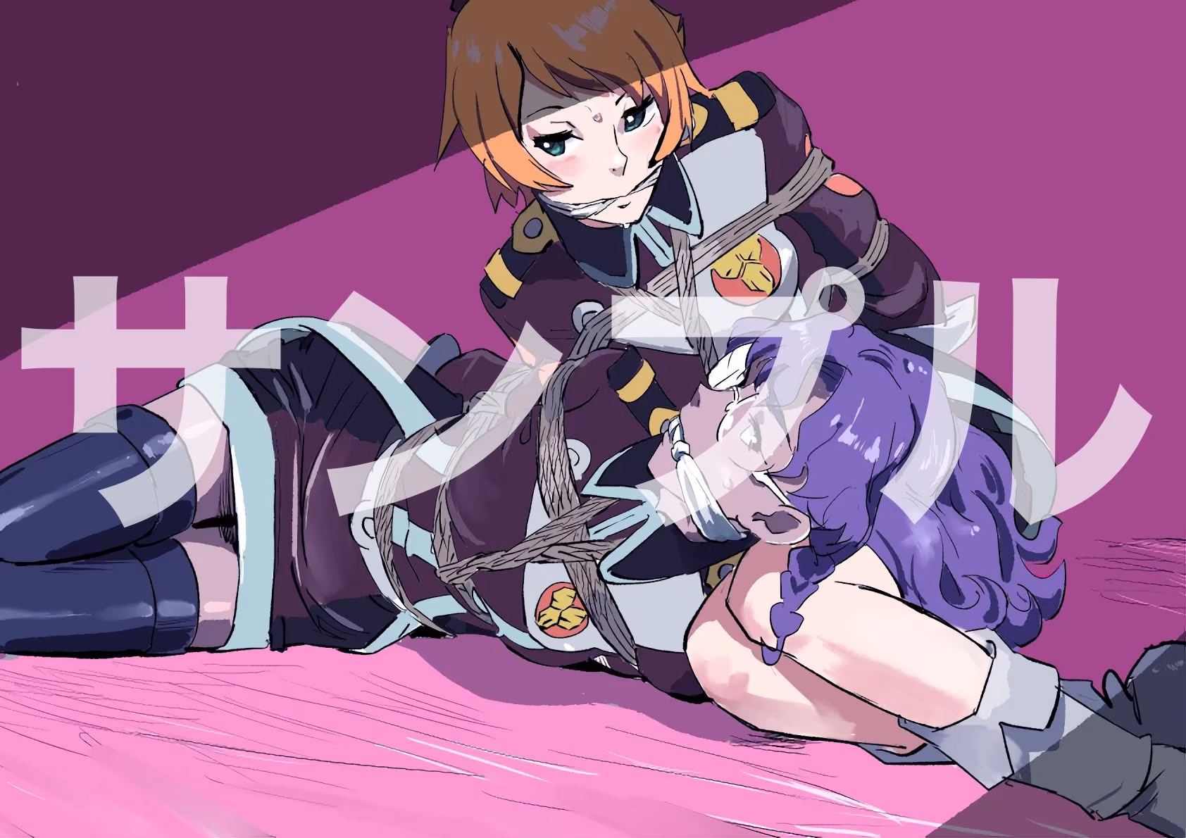 マクロスフロンティア  ヒロイン  SM緊縛画集