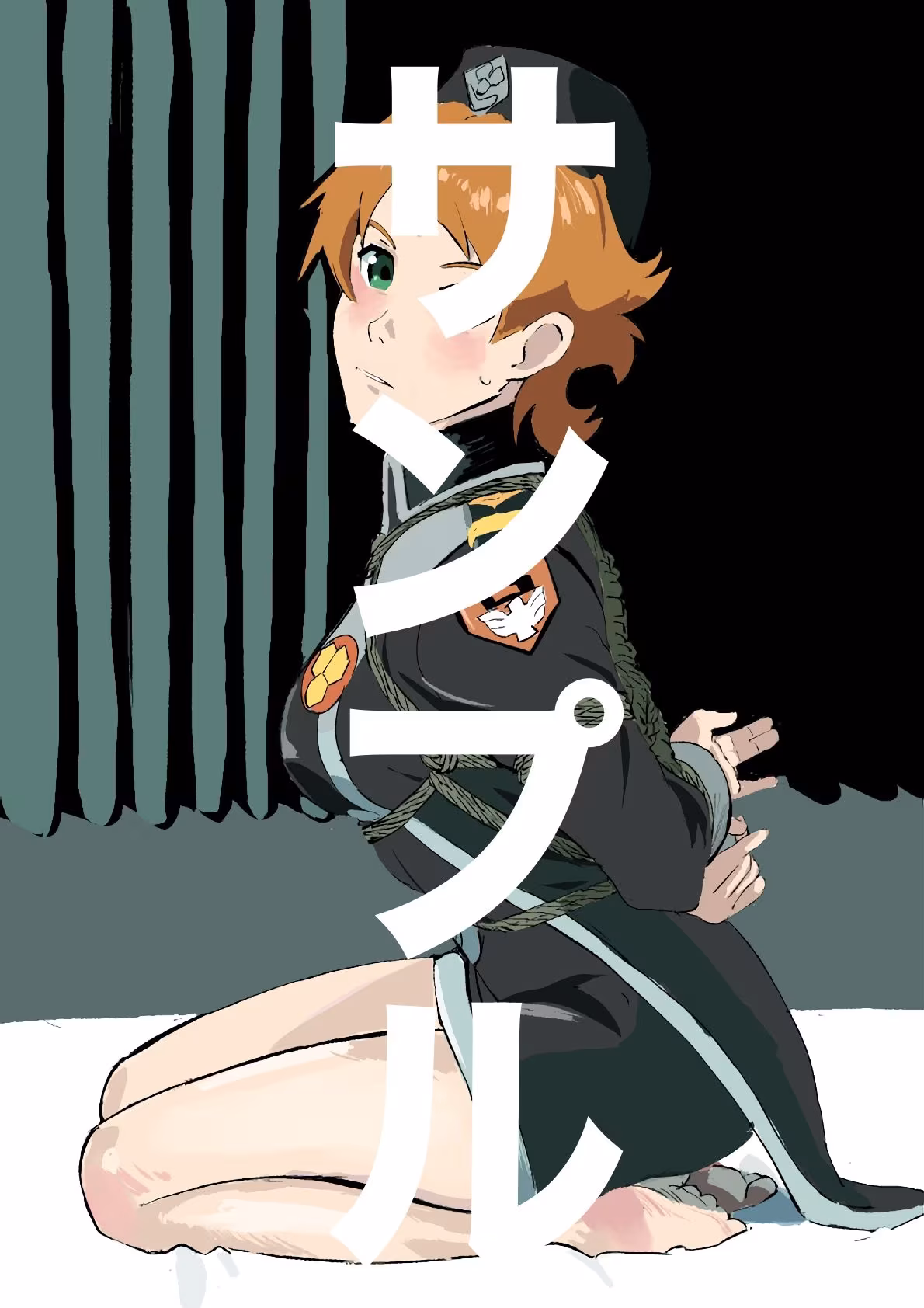 マクロスフロンティア  ヒロイン  SM緊縛画集
