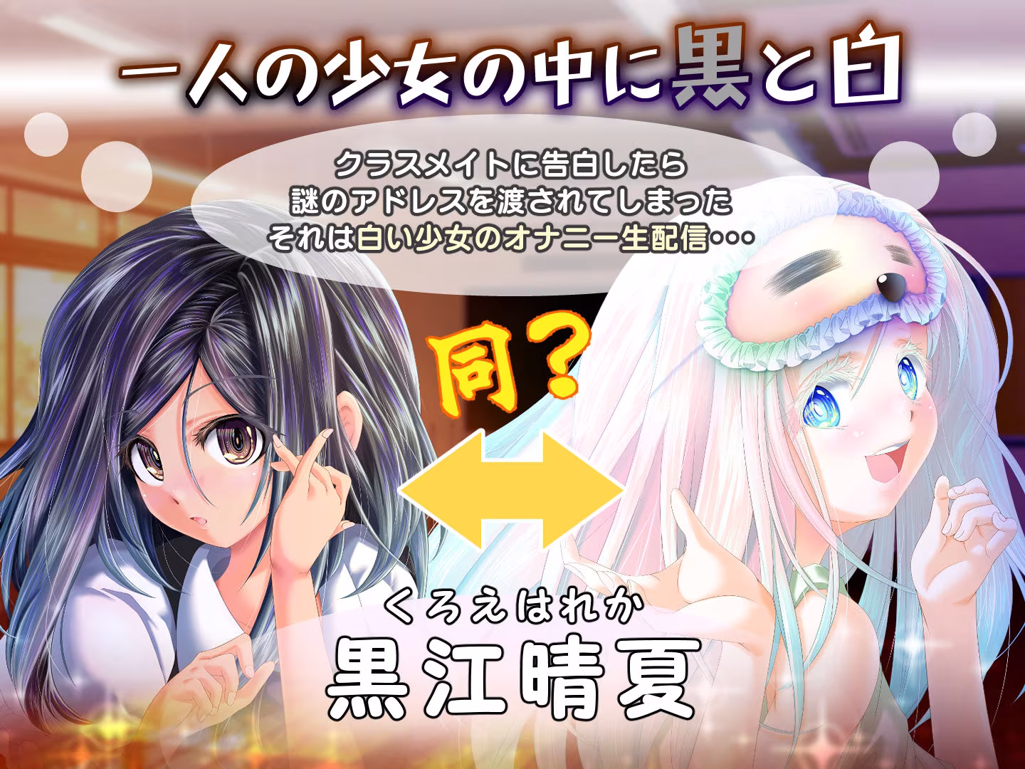 夕暮れまぐれの黒と白