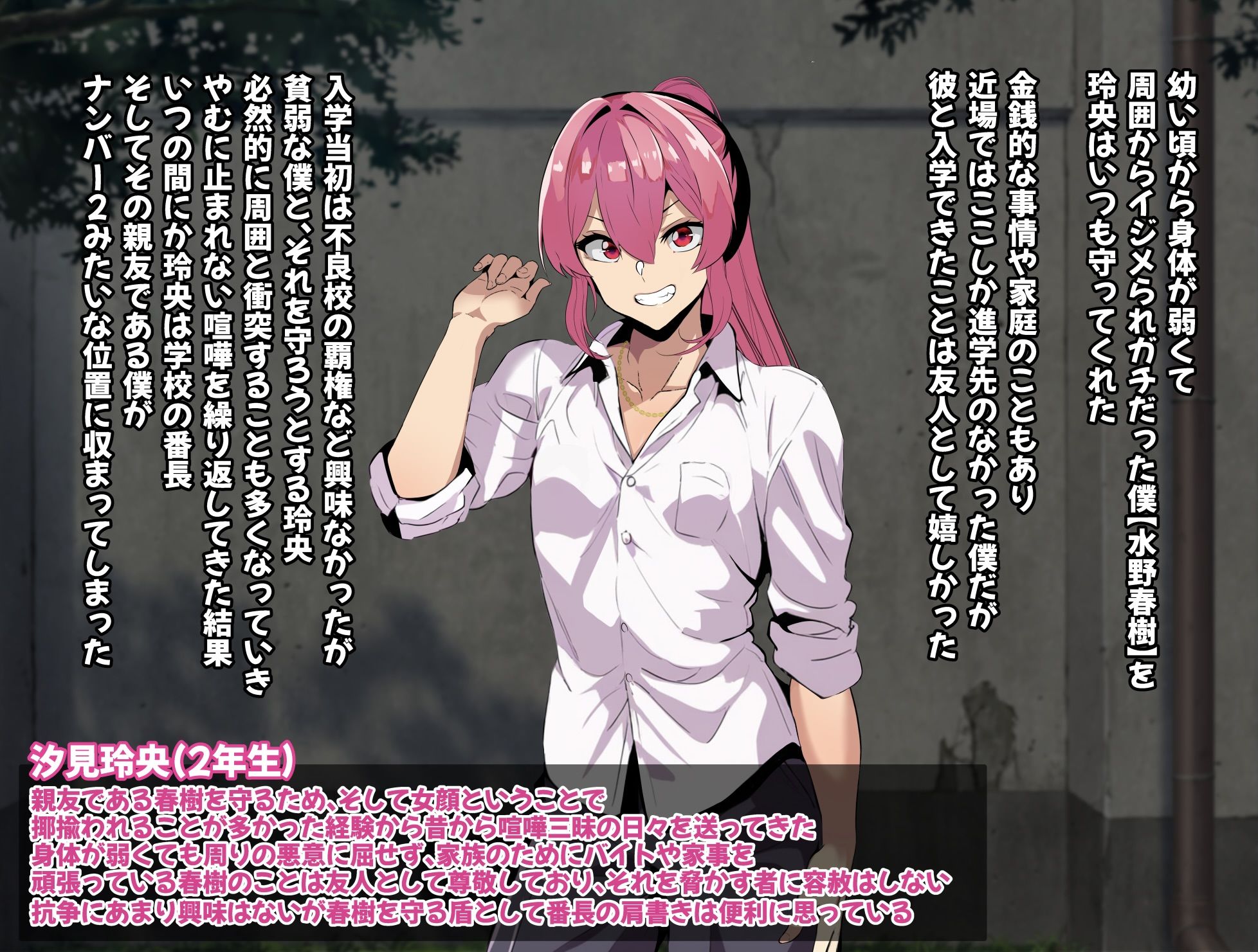 ケンカに負けたメス男子 転校してきた強者男性に憧れの親友がメス堕ちされる