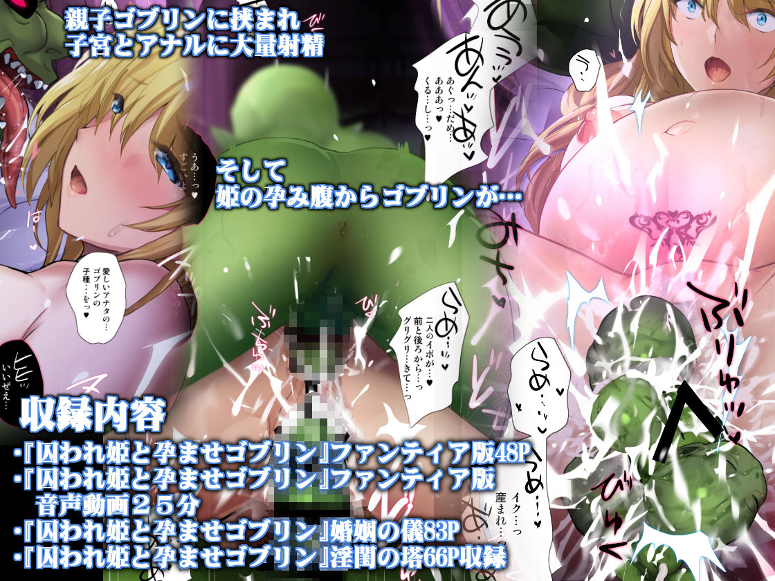 囚われ姫と孕ませゴブリン