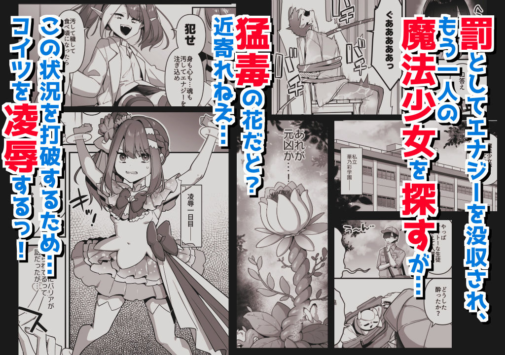 悪の手先になったので。〜魔法少女を凌●します〜3前編