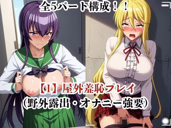 肉玩具認定証発行！！街の性処理係堕ち。―快楽と恥辱の記録―毒●冴子＆鞠●静香編
