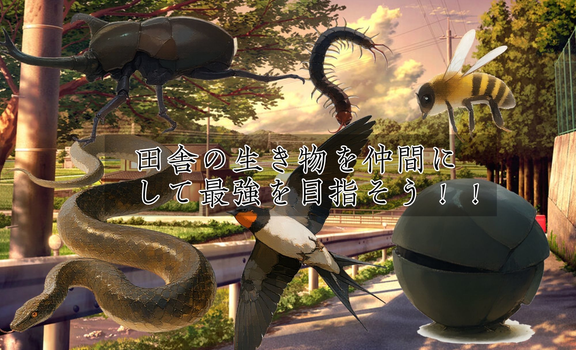 ヨリドコロ ー男系女子との夏の思い出。ー