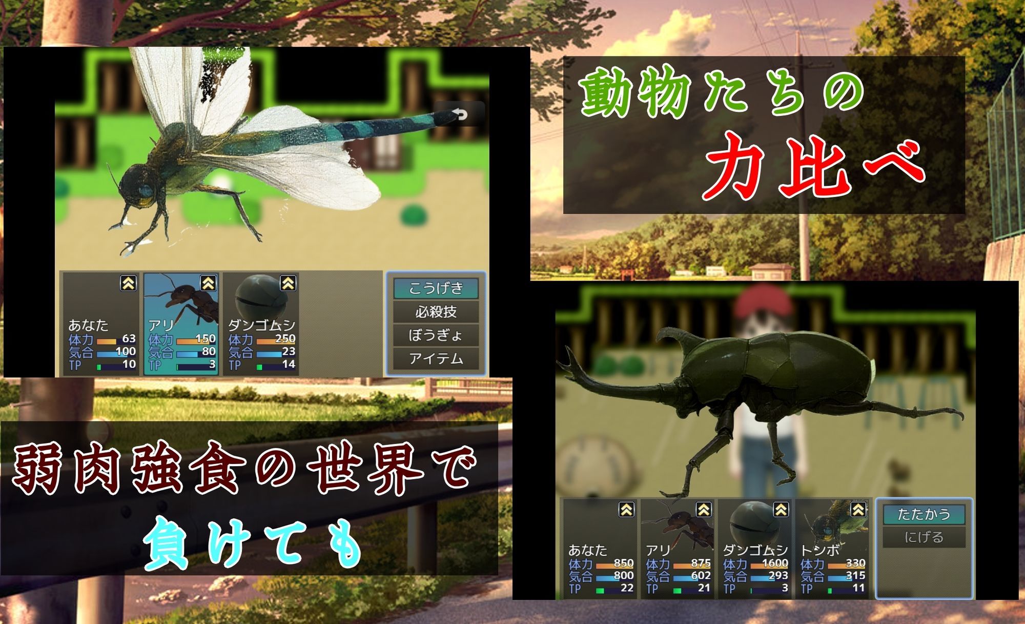 ヨリドコロ ー男系女子との夏の思い出。ー