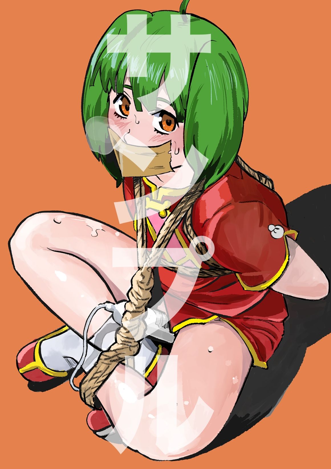 マクロスF キャラ緊縛