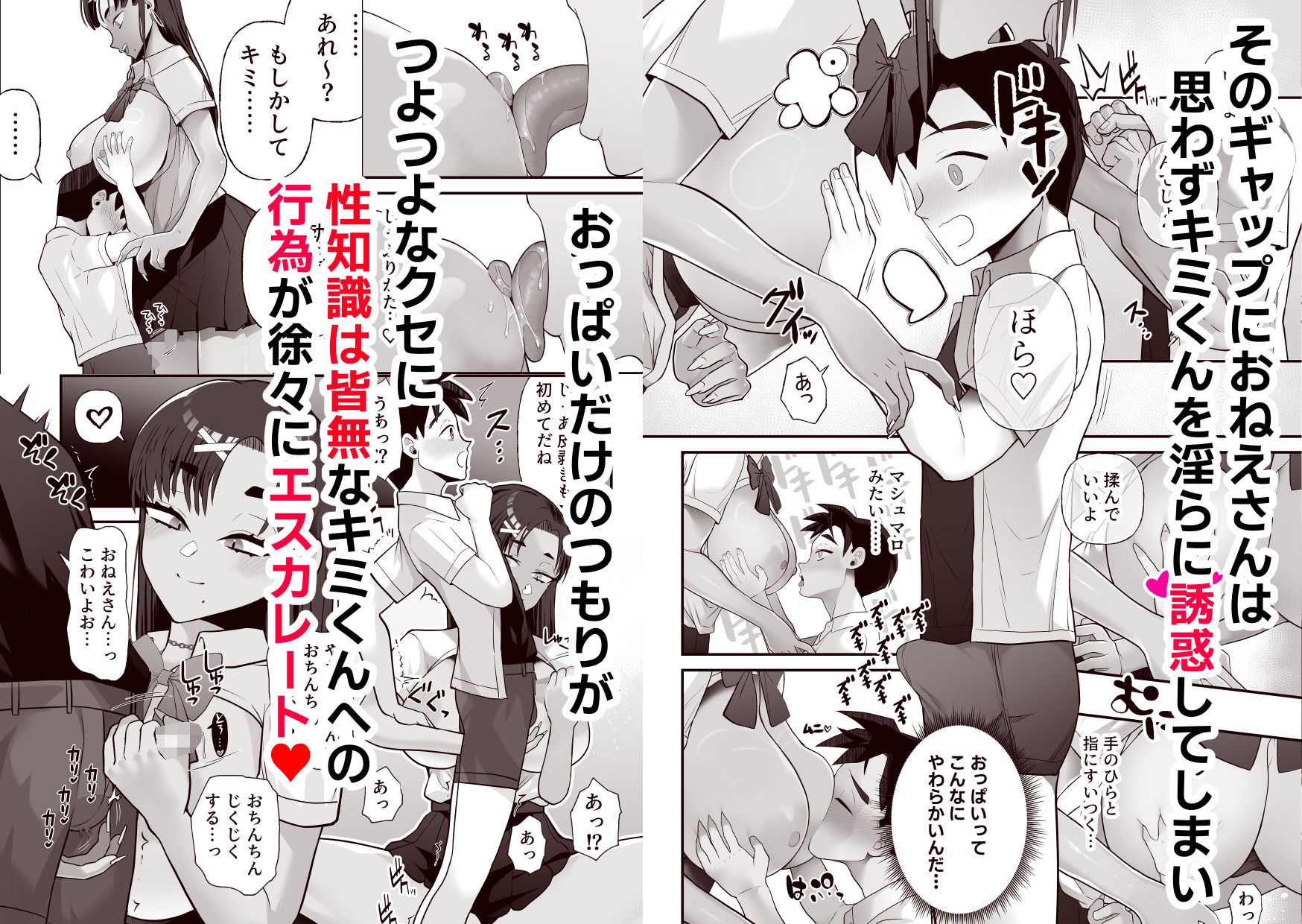 おねえさん本当におっぱい揉ませてくれますか？