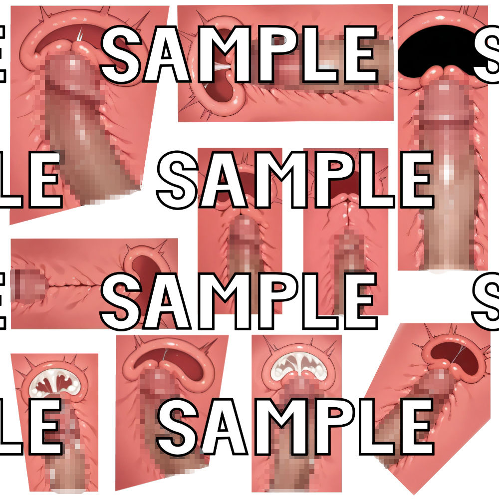 断面図素材イラスト詰合せ