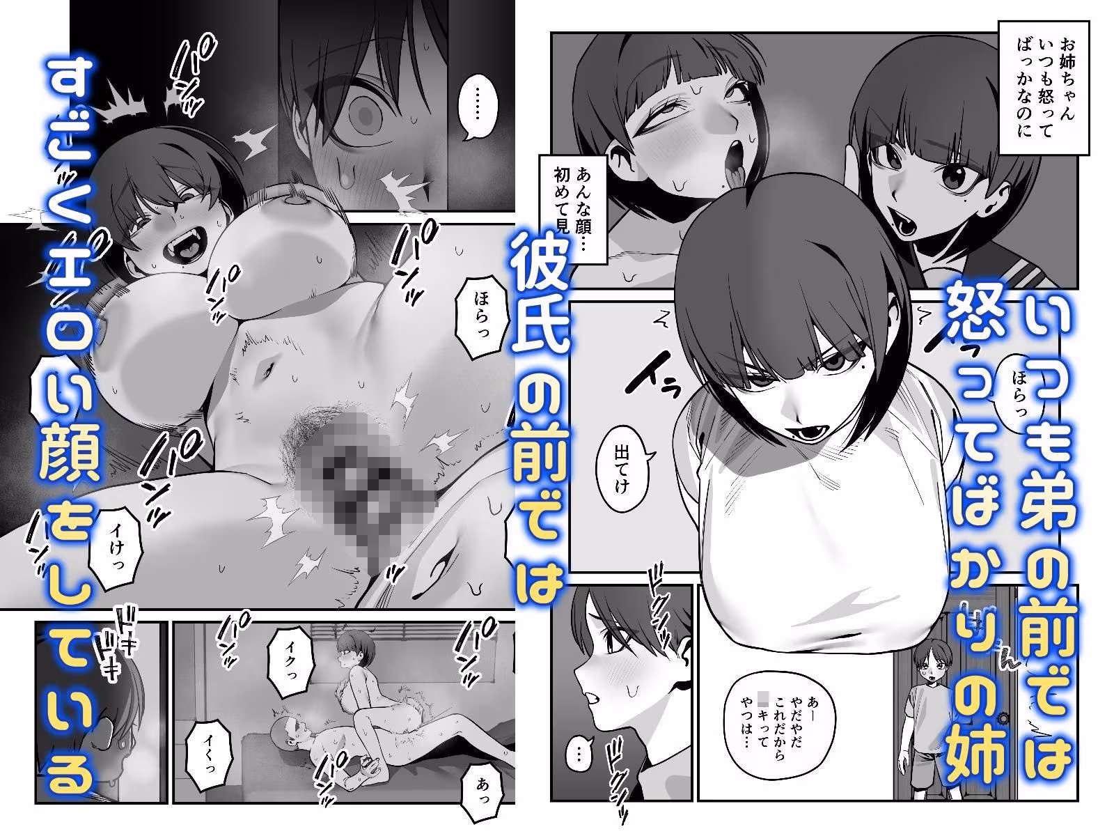 いつも怒ってばかりのお姉ちゃんを妊娠させる話