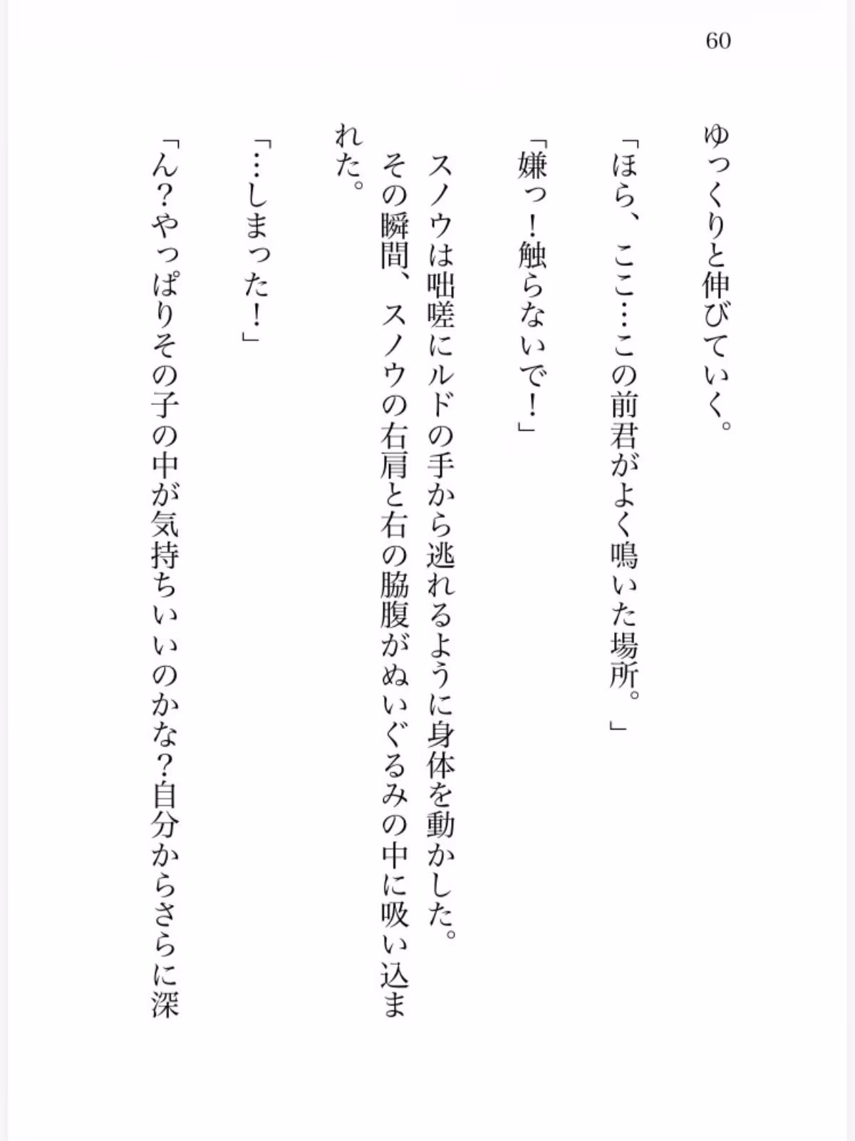 氷の魔法少女は魔族幹部の執着熱に甘く溶かされる