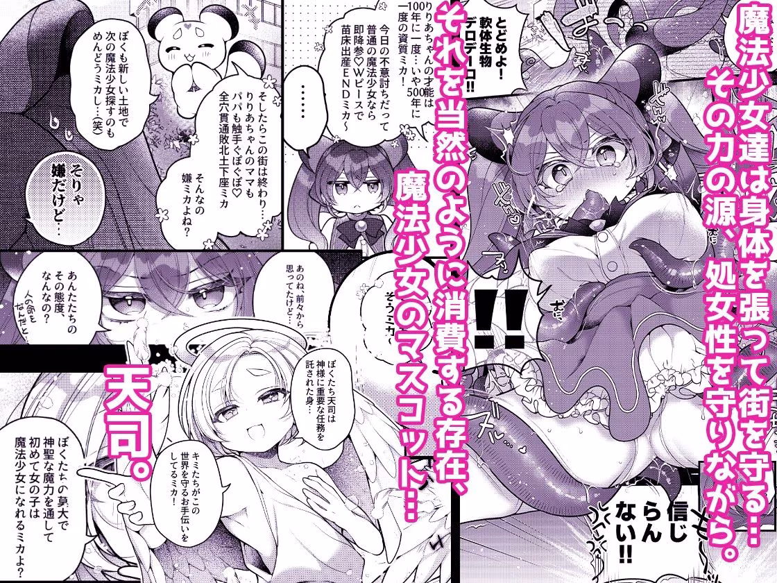 だったらあんたが魔法少女になりなさいよ！！