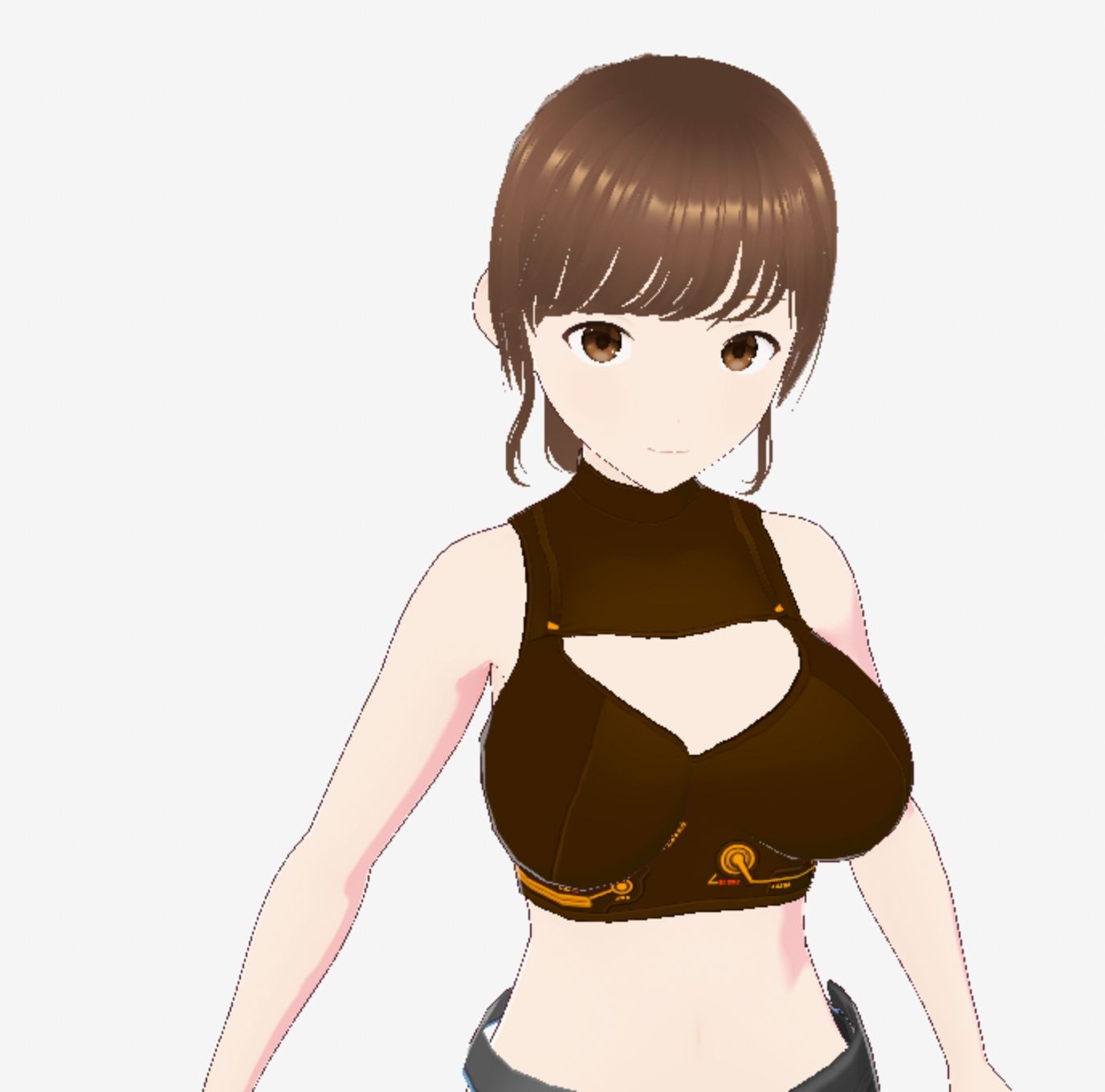 戦ってるようなファッションブラの巨乳美女（セリフなし  3DCGモデル  イラスト集）