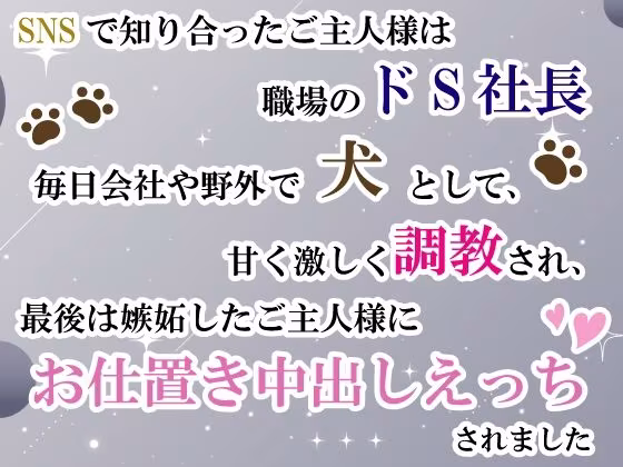 SNSで知り合ったご主人様は職場のドS社長。毎日会社や野外で犬として甘く激しく調教され、最後は嫉妬したご主人様にお仕置き中出しえっちされました