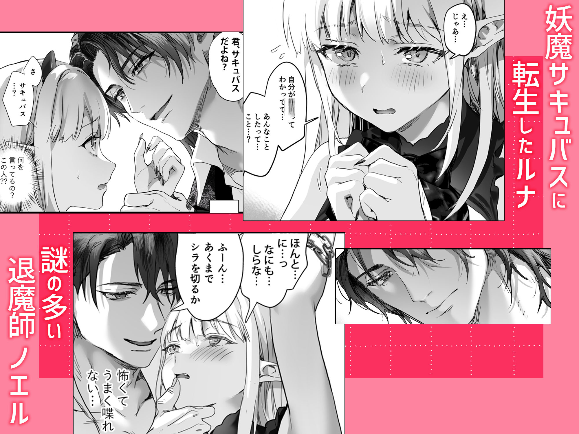 ワケアリ退魔師は転生サキュバスと死を賭けた恋をする