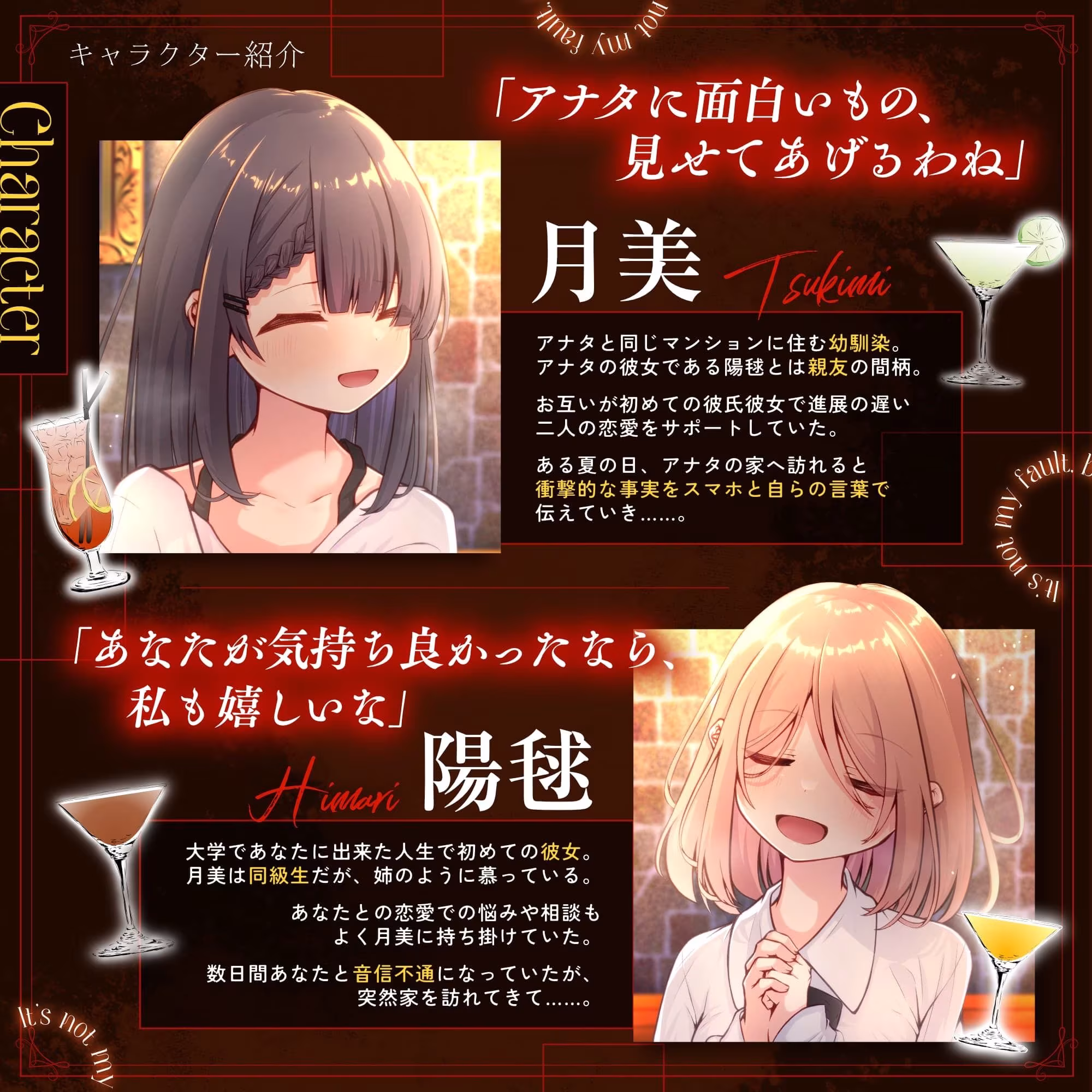 私は悪くないのに… Before and after 〜壊し、壊された初恋の思い出〜