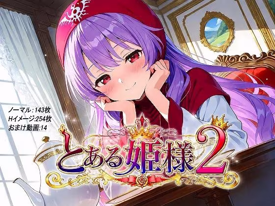 とある姫様2