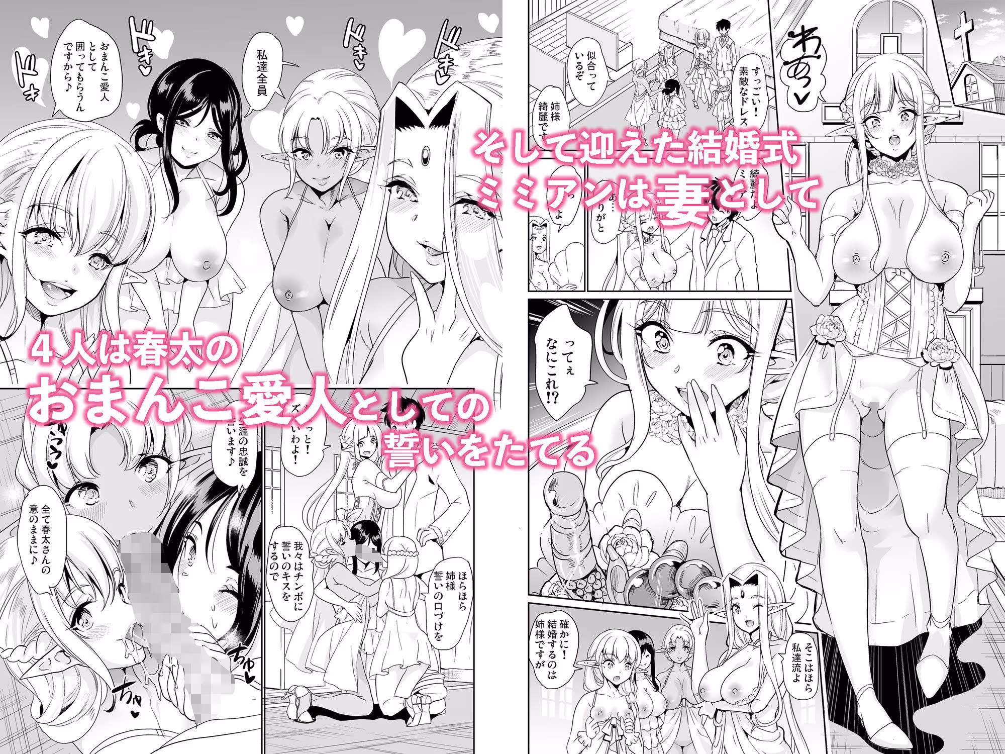 スケベエルフ姉妹、婚活に来る 総集編