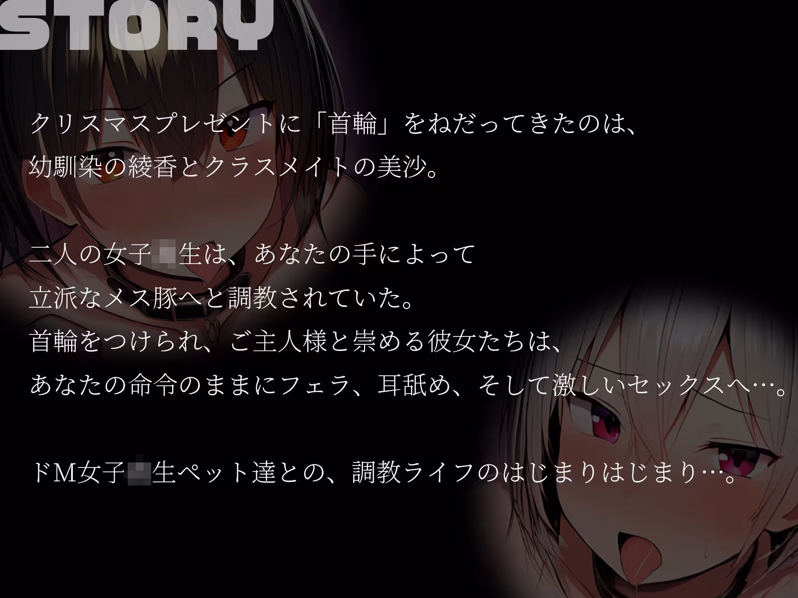 【KU100】プレゼントに首輪をねだるドM2人を再調教