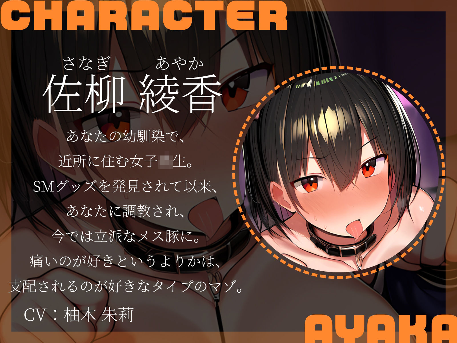 【KU100】プレゼントに首輪をねだるドM2人を再調教