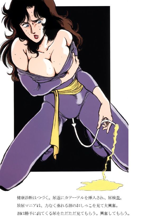 浣虐懲罰房 〜涙に疼く媚肛〜