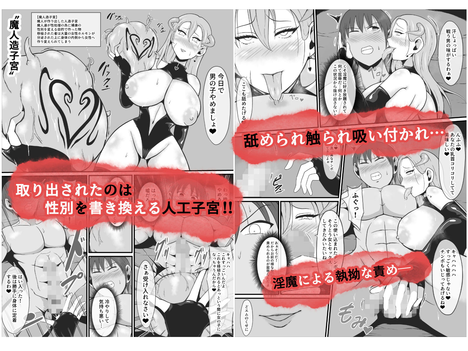 【TS悪堕ち】屈強なる戦士が淫乱メス悪魔へ性転換