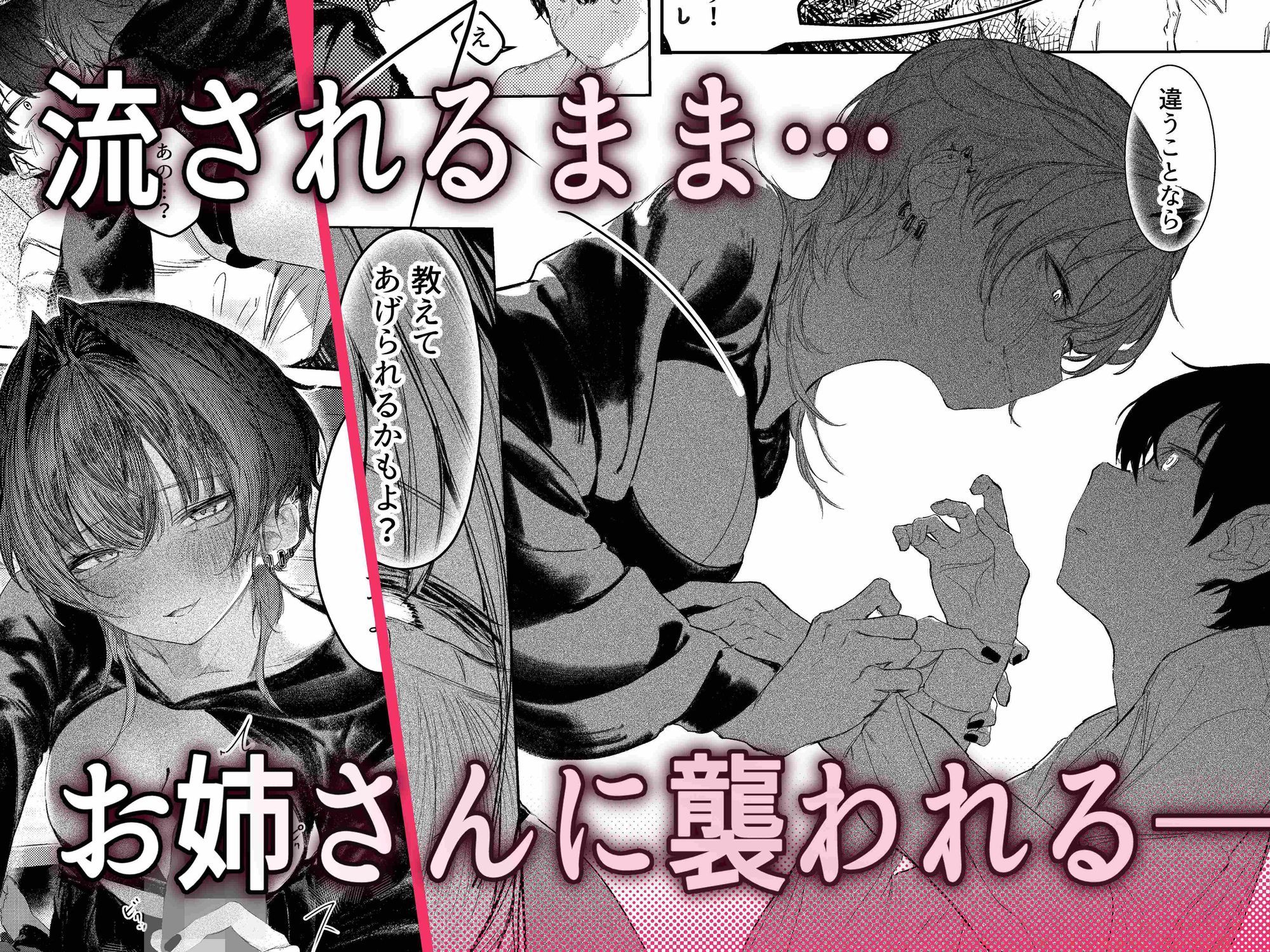 家出したらお姉さんに拾われる話