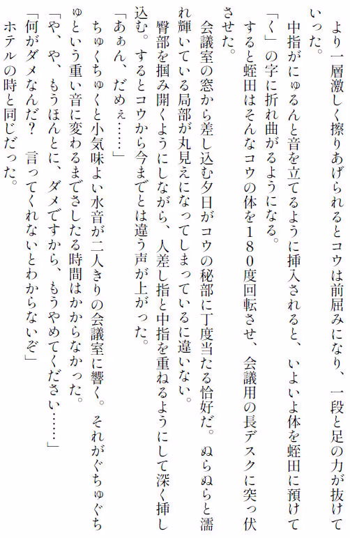 愛妻コウ-盗まれた純潔-  下巻